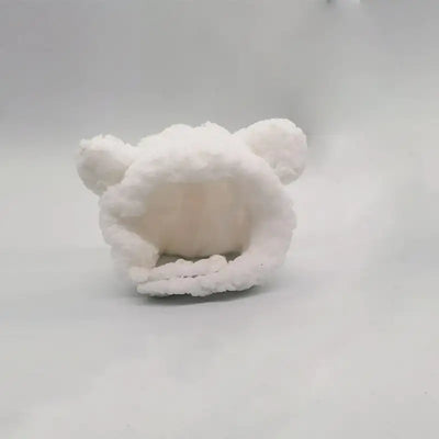 Grappig kattenmutsje